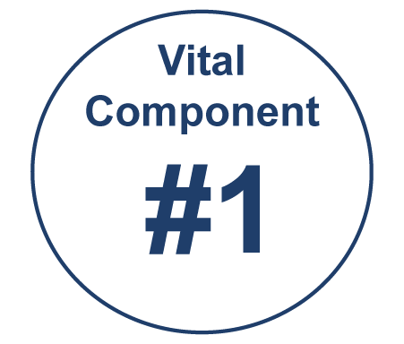 VitalComponent#1