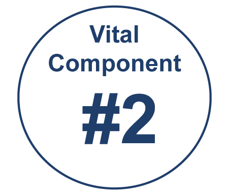 VitalComponent#2