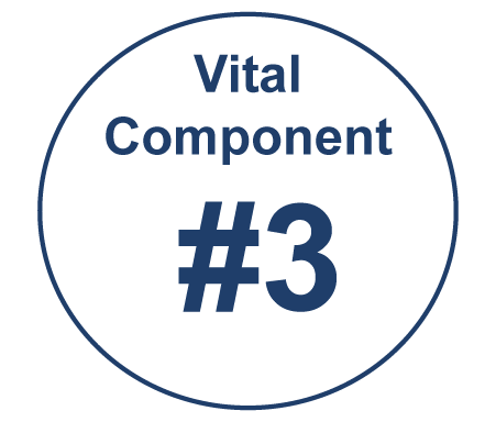 VitalComponent#3
