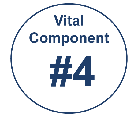VitalComponent#4